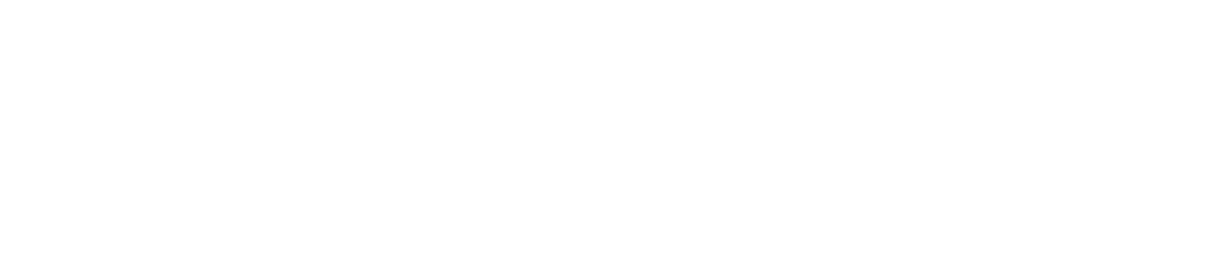 Slingshot